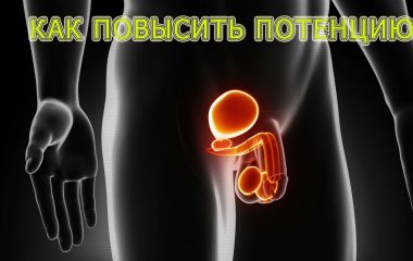 Как можно эффективно усилить потенцию?