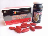 Німецька вівчарка для потенції